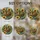 duiyfppz/products/6a8e8db500964306a00e5178/gallery/SKRIzw4qPO