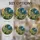 duiyfppz/products/6a8e8ddf00964335bd0e52b6/gallery/vSy4h85_CS
