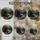 duiyfppz/products/6a8e8e5121aaad63b3a84908/gallery/J3BMJaBsrb