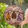 duiyfppz/products/6a8e8e92009643609c0e55f0/gallery/s-S35WNrzB