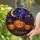 duiyfppz/products/6a8e8ecc21aaadbcdca85431/gallery/29R8Hh2ZAM