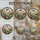 duiyfppz/products/6a8e8f3f62d92c18fec8f22f/gallery/xg3Nkny6Ep