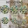 duiyfppz/products/6a8e8f54009643410c0e6260/gallery/FmPjvb_8vV