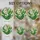 duiyfppz/products/6a8e8ff60096431c650e6df5/gallery/K-2IrKk9J_