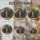 duiyfppz/products/6a8e90b221aaad12a6a88815/gallery/aBHapIU1g4