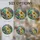 duiyfppz/products/6a8e910262d92c2adec9155f/gallery/djdbvmnTvp