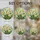 duiyfppz/products/6a8e913ce33663982c4dcf99/gallery/vZx-EEUh9a