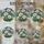 duiyfppz/products/6a8e916962d92c1323c928db/gallery/We6gs7zkh3
