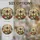 duiyfppz/products/6a8e91dfe33663f7534dd38d/gallery/ZHHa8lm4BQ