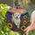 duiyfppz/products/6a8e931021aaad2f97a89cde/gallery/hhmfgbV9FY