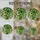 duiyfppz/products/6a8e936500964323f90ea249/gallery/I-1bE6m8h0