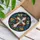 duiyfppz/products/6a8e93a7e3366359cd4ddb8a/gallery/PzMyU1Cu7O