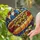 duiyfppz/products/6a8e943b62d92c4ce9c9372b/gallery/fNslAlwKC3