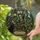 Haunted Greenhouse Skeleton Cat Gothic Halloween Window Decor for Witchy Home Fans Stained Glass Suncatcher - 2