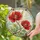 Red Poppy Floral Gift for Romantic Home Decor and Mother's Day Housewarming Celebrations Stained Glass Suncatcher - 2