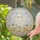 Playful Ghost Pumpkin Halloween Design For Cute Spooky Autumn Home Decor Stained Glass Suncatcher - 2