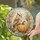 Majestic Owl Perched Beside Pumpkin Amid Warm Autumn Leaves for Rustic Harvest Decor Stained Glass Suncatcher - 2