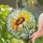 Golden Sunflower Floral Accent For Nature Lovers And Bright Home Decor Stained Glass Suncatcher - 2