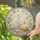 Serene Cat and Pumpkin Composition in Soft Autumn Tones for Seasonal Decor Stained Glass Suncatcher - 2