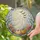 Playful Ghost Figure with Pumpkins and Moon for Halloween Night Celebration Decor Stained Glass Suncatcher - 2
