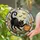 Black Cat Pumpkin Moon Halloween Decor For Cat Lovers Autumn Gift Home Accent Collection Stained Glass Suncatcher - 2