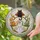 Four Costumed Cats Vampire Ghost Clown Halloween Circle Decor Stained Glass Suncatcher - 2