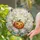 Halloween Pumpkin and Nine Lily Ghosts for Festive Autumn Decor, Cozy Spooky Home Stained Glass Suncatcher - 2