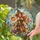 Halloween Witch With Jack-O'-Lantern for Spooky Autumn Home Decor and Fall Celebrations Stained Glass Suncatcher - 2