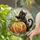 Black Cat Pumpkin Halloween Decor for Cozy Autumn Homes and Thoughtful Cat Lovers Stained Glass Suncatcher - 2