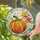 Harvest Pumpkin Glow for Halloween Entryways and Cozy Autumn Home Decor Lovers Everywhere Stained Glass Suncatcher - 2