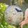 Friendly Ghost Pumpkin and Bat Halloween Decor for Autumn Window Display Stained Glass Suncatcher - 2
