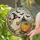 Ghost Pumpkin Witch Halloween Suncatcher for Spooky Fall Window Decor Stained Glass Suncatcher - 2
