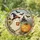 Ghost Pumpkin Witch Halloween Suncatcher for Spooky Fall Window Decor Stained Glass Suncatcher - 1