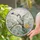 Vivid Toucan Perched in Tropical Paradise Monstera Leaves Mother's Day Decor Stained Glass Suncatcher - 2