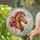 Graceful Red-Maned Horse as 2026 Lunar New Year Symbol for Cherished Family Gifts Stained Glass Suncatcher - 2