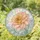 Dahlia Bloom Design for Mother's Day Gift and Home Decoration Stained Glass Suncatcher - 1