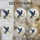 Mystical Raven in Light Glass Tones for Serene Morning Spaces Stained Glass Suncatcher - 5