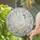 Graceful White Hen Amid Spring Flowers for Housewarming and Mother’s Day Stained Glass Suncatcher - 2