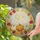 Harvest Moon Pumpkins Maple Leaves for Autumn Thanksgiving Cottagecore Decor Stained Glass Suncatcher - 2