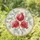Lush Red Pomegranate Cluster in Stained Glass Style for Home and Garden Window Decor Stained Glass Suncatcher - 1