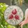 Lush Red Pomegranate Cluster in Stained Glass Style for Home and Garden Window Decor Stained Glass Suncatcher - 2