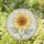 Large Sunflower Bloom in Leaded Glass for Mother's Day Garden Home Decor Gift Stained Glass Suncatcher - 1