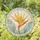Strelitzia Bloom Circle for Garden Anniversary Housewarming Accent Stained Glass Suncatcher - 1