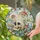 Skull And Amanita Mushroom Halloween Decor For Witchy Homes And Spooky Gift Giving Stained Glass Suncatcher - 2