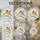 Vivid Finch Bird in Stained Glass Circle for Brightening Home Window and Wall Spaces Stained Glass Suncatcher - 5