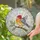 Vivid Finch Bird in Stained Glass Circle for Brightening Home Window and Wall Spaces Stained Glass Suncatcher - 2