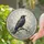 Black Crow on Branch in Pale Stained Glass for Spooky Autumn Wall Decor Stained Glass Suncatcher - 2