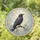Black Crow on Branch in Pale Stained Glass for Spooky Autumn Wall Decor Stained Glass Suncatcher - 1