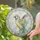 Vibrant Green Macaw Parrot Stained Glass for Sunny Window and Mother's Day Gift Stained Glass Suncatcher - 2