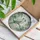 Vibrant Tropical Parrot Stained Glass Circle Design for Bright Window Decor and Dad Gift Stained Glass Suncatcher - 4